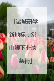 诸城研学新地标：常山脚下非遗一条街