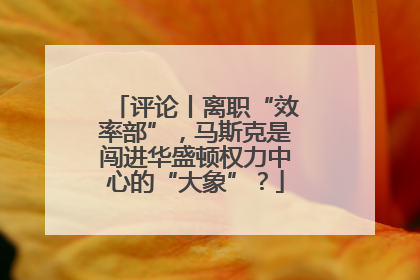 评论丨离职“效率部”，马斯克是闯进华盛顿权力中心的“大象”？