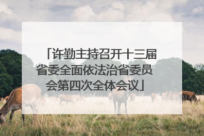 许勤主持召开十三届省委全面依法治省委员会第四次全体会议