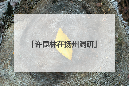 许昆林在扬州调研