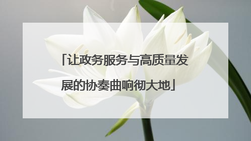 让政务服务与高质量发展的协奏曲响彻大地