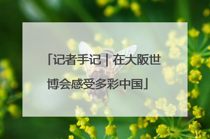 记者手记｜在大阪世博会感受多彩中国