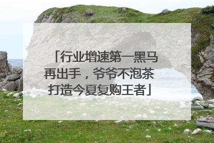 行业增速第一黑马再出手，爷爷不泡茶打造今夏复购王者