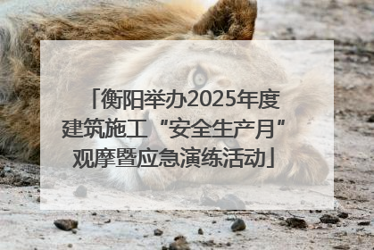 衡阳举办2025年度建筑施工“安全生产月”观摩暨应急演练活动