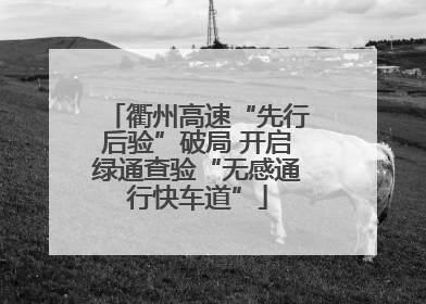 衢州高速“先行后验”破局 开启绿通查验“无感通行快车道”