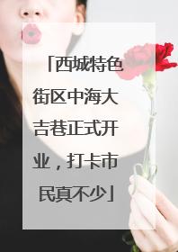 西城特色街区中海大吉巷正式开业，打卡市民真不少