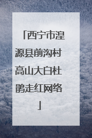 西宁市湟源县前沟村高山大白杜鹃走红网络