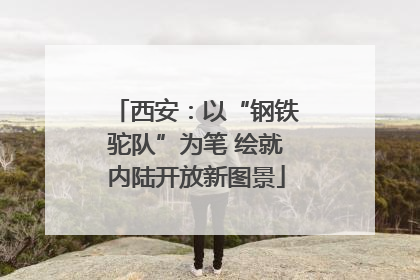西安：以“钢铁驼队”为笔 绘就内陆开放新图景