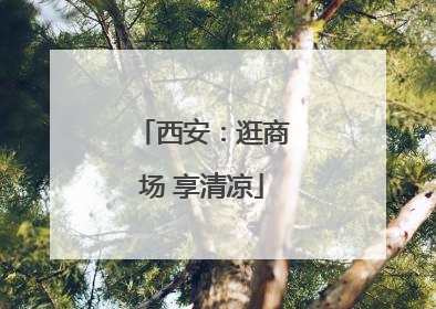 西安：逛商场 享清凉