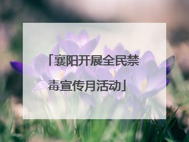 襄阳开展全民禁毒宣传月活动