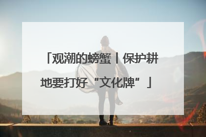 观潮的螃蟹丨保护耕地要打好“文化牌”