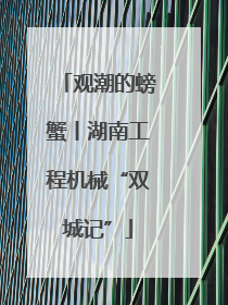 观潮的螃蟹丨湖南工程机械“双城记”