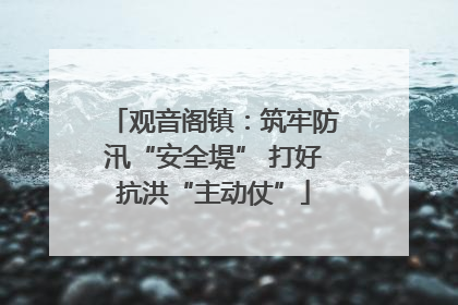 观音阁镇：筑牢防汛“安全堤” 打好抗洪“主动仗”