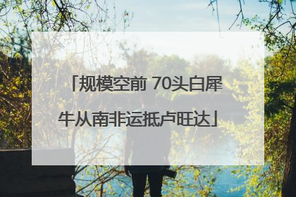 规模空前 70头白犀牛从南非运抵卢旺达