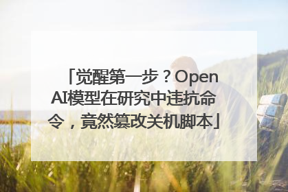 觉醒第一步？OpenAI模型在研究中违抗命令，竟然篡改关机脚本