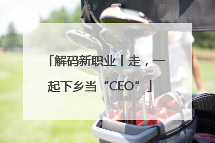 解码新职业丨走，一起下乡当“CEO”