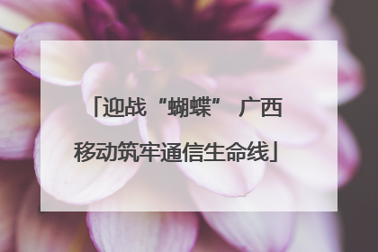 迎战“蝴蝶” 广西移动筑牢通信生命线