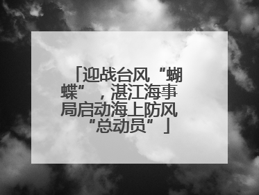迎战台风“蝴蝶”，湛江海事局启动海上防风“总动员”
