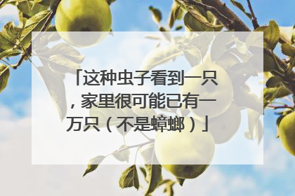 这种虫子看到一只，家里很可能已有一万只（不是蟑螂）