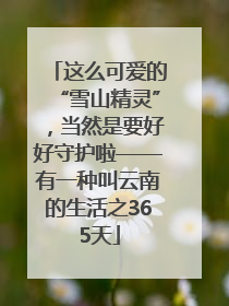 这么可爱的“雪山精灵”，当然是要好好守护啦——有一种叫云南的生活之365天