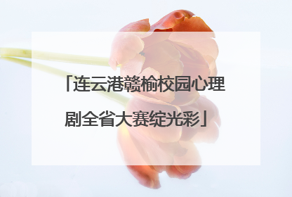 连云港赣榆校园心理剧全省大赛绽光彩