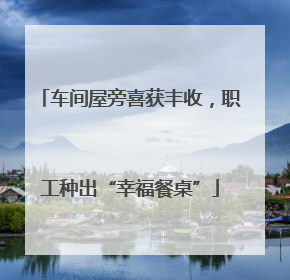 车间屋旁喜获丰收，职工种出“幸福餐桌”