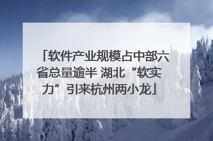 软件产业规模占中部六省总量逾半 湖北“软实力”引来杭州两小龙