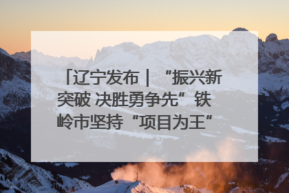 辽宁发布｜“振兴新突破 决胜勇争先”铁岭市坚持“项目为王”推进经济高质量发展