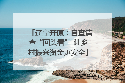 辽宁开原：自查清查“回头看” 让乡村振兴资金更安全