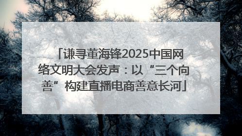 谦寻董海锋2025中国网络文明大会发声：以“三个向善”构建直播电商善意长河