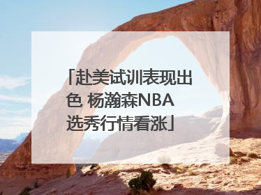 赴美试训表现出色 杨瀚森NBA选秀行情看涨