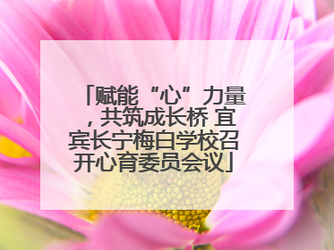 赋能“心”力量，共筑成长桥 宜宾长宁梅白学校召开心育委员会议