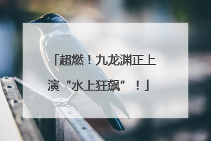 超燃！九龙渊正上演“水上狂飙”！