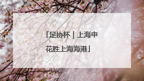 足协杯｜上海申花胜上海海港