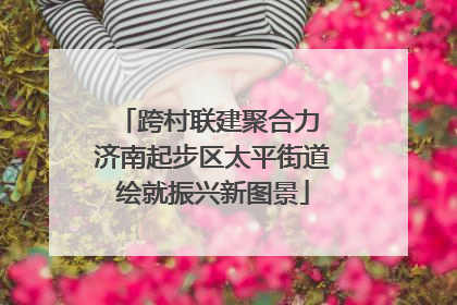 跨村联建聚合力 济南起步区太平街道绘就振兴新图景