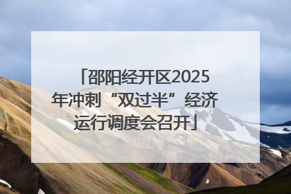 邵阳经开区2025年冲刺“双过半”经济运行调度会召开
