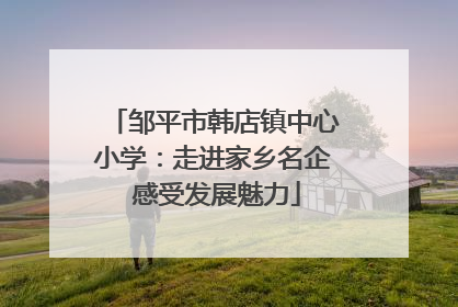 邹平市韩店镇中心小学：走进家乡名企 感受发展魅力