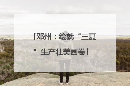 邓州：绘就“三夏”生产壮美画卷