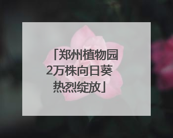 郑州植物园2万株向日葵热烈绽放