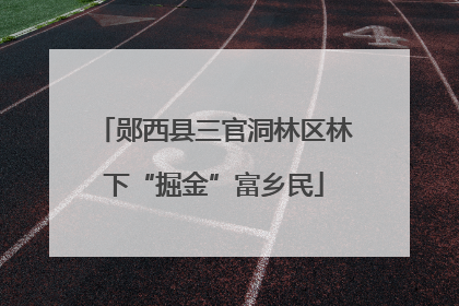郧西县三官洞林区林下“掘金”富乡民