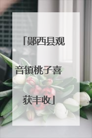 郧西县观音镇桃子喜获丰收
