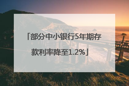 部分中小银行5年期存款利率降至1.2%
