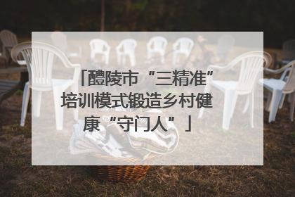 醴陵市“三精准”培训模式锻造乡村健康“守门人”