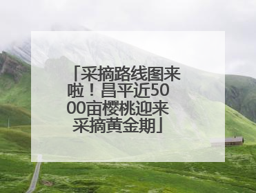 采摘路线图来啦！昌平近5000亩樱桃迎来采摘黄金期