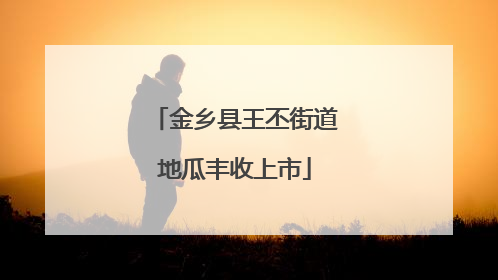 金乡县王丕街道地瓜丰收上市