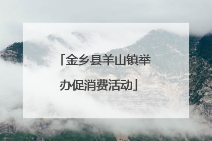 金乡县羊山镇举办促消费活动