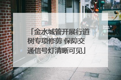 金水城管开展行道树专项修剪 保障交通信号灯清晰可见