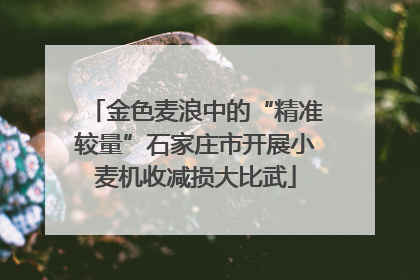 金色麦浪中的“精准较量”石家庄市开展小麦机收减损大比武