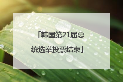 韩国第21届总统选举投票结束
