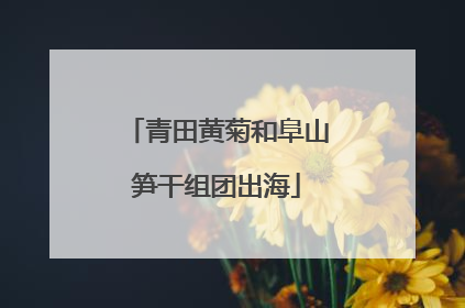 青田黄菊和阜山笋干组团出海